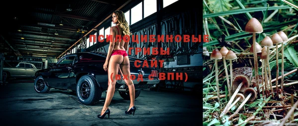 а пвп мука Арсеньев