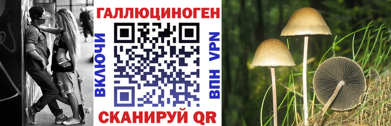 Галлюциногенные грибы мухоморы  Устюжна 