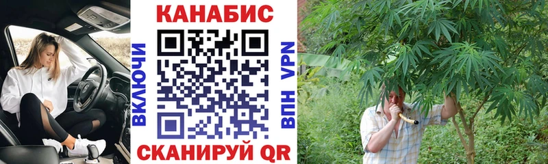 Каннабис Amnesia  Устюжна 